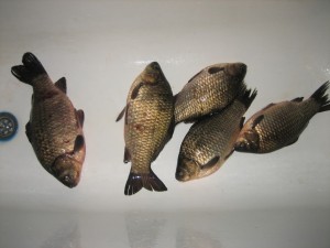 IMG_2683.jpg