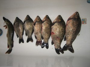 IMG_2686.jpg