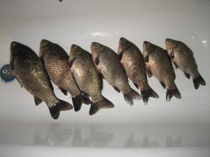 IMG_2690.jpg