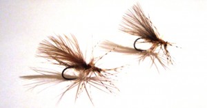 softdryhackle.jpg
