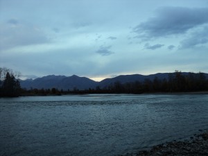 DSC05730.JPG