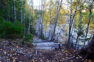 DSC_0400p.JPG
