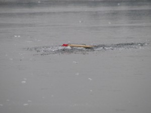 IMG_0375.JPG