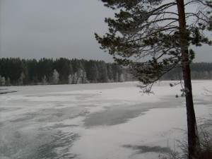 голова залива.jpg