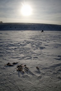 IMG_7617_измен.размер.jpg