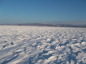100_5128.jpg