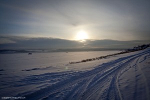 IMG_7784 копия.jpg