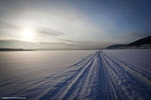 IMG_7786 копия.jpg