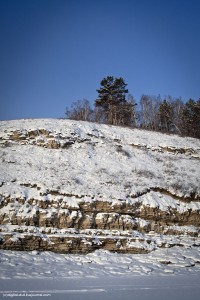 IMG_7791 копия.jpg