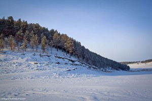 IMG_7795 копия.jpg