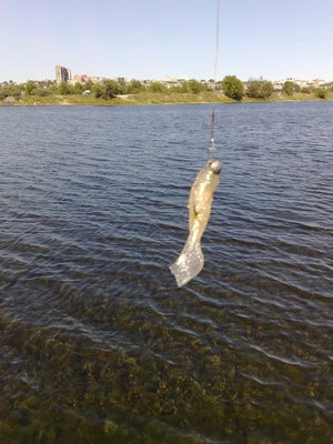 09082010199_изменить размер.jpg