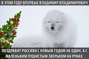 1549496_413430335473633_5581970266206858473_n.jpg