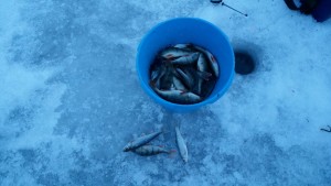 20150108_170549[1].jpg