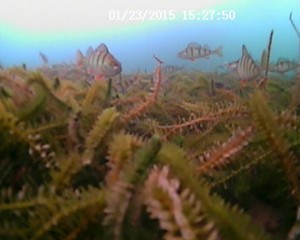 20150123152750.JPG
