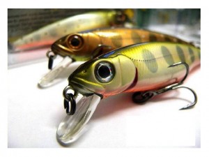 pontoon wobblers.jpg