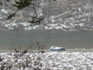 сарамта 037.jpg