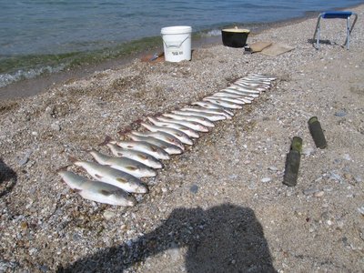 IMG_9490.jpg