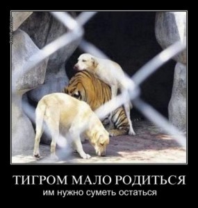 1358449790_smeshnye-demki-10.jpeg