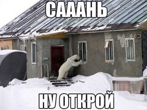 getImage.jpg