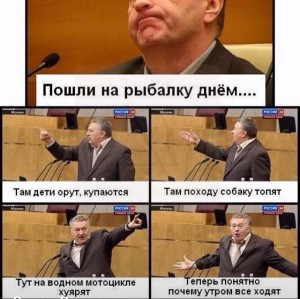 image.jpg