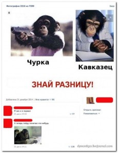 1422623873_hohotok.net_kossmeeh2.jpg
