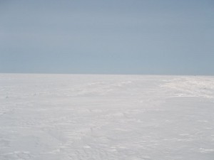 100_6133.jpg