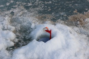IMG_0332_761x507.jpg