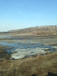 image2.JPG