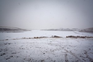 IMG_9211.jpg