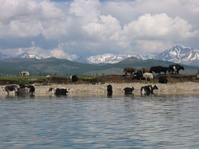 IMG_0242.jpg