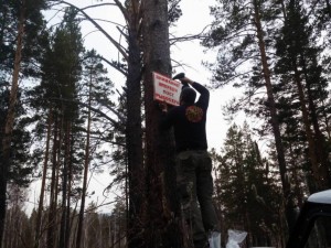 Foto-3.jpg