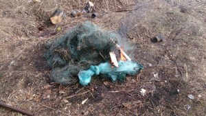 DSC_0542_small.JPG