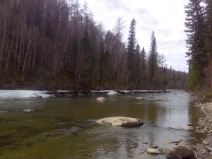 030520151565.2.jpg