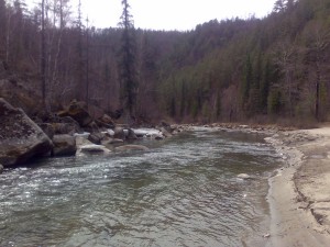 030520151569.2.jpg
