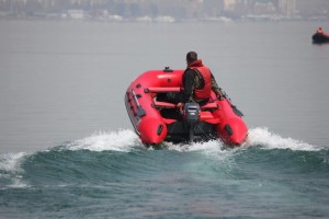 IMG_7103.jpg