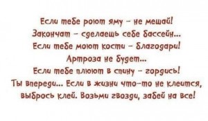 20.05.15 - 1.jpg