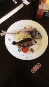 IMAG1141.gif