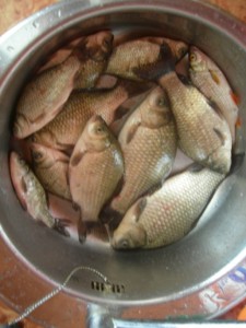DSCN8815.JPG