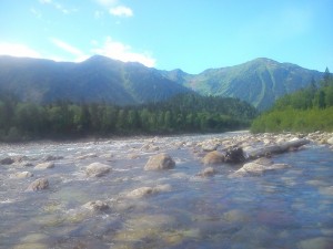 DSC_0218.jpg