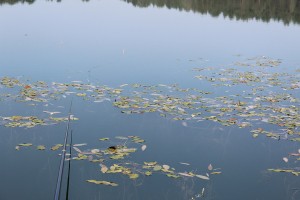 IMG_50001.JPG