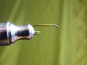 DSCF5319.JPG