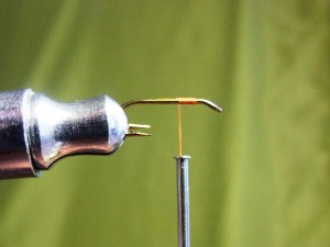 DSCF5320.JPG