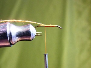 DSCF5321.JPG