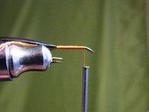 DSCF5324.JPG