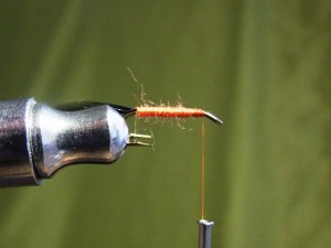 DSCF5326.JPG