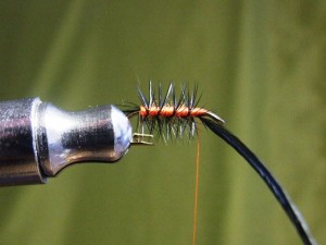 DSCF5327.JPG