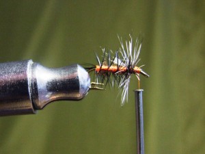 DSCF5330.JPG