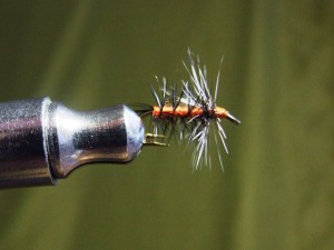 DSCF5331.JPG