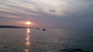 DSC_0235.JPG