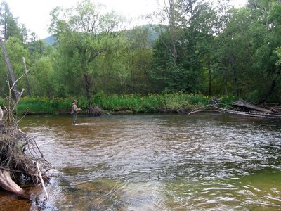 IMG_3821_1.JPG